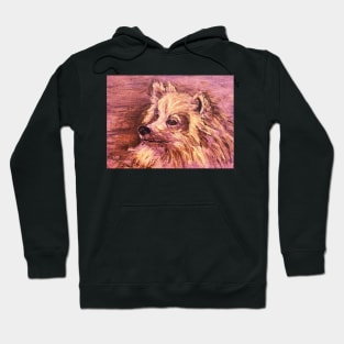 American Eskimo Dog Hoodie